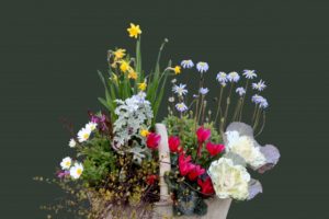 冬の寄せ植え
