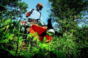 gardening