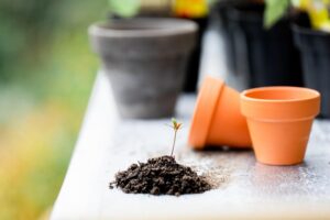 gardening