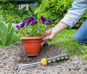 gardening