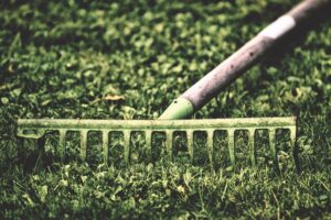 gardening