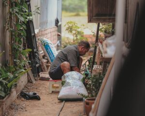 gardening
