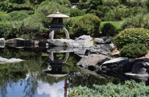 japanese garden